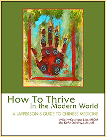 How To Thrive In The Modern World: A Layperson's Guide to Chinese Medicine